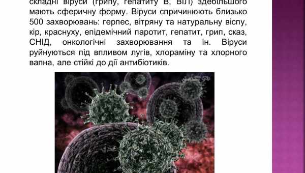 Імунітет налаштували проти кількох вірусів грипу