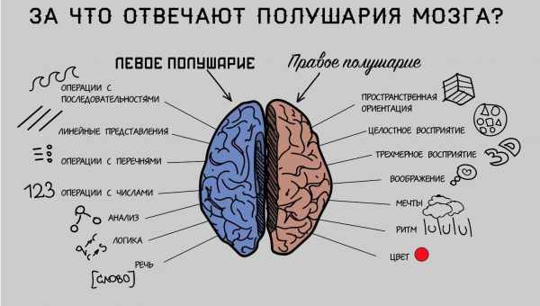 Чи може мозок вчитися уві сні?