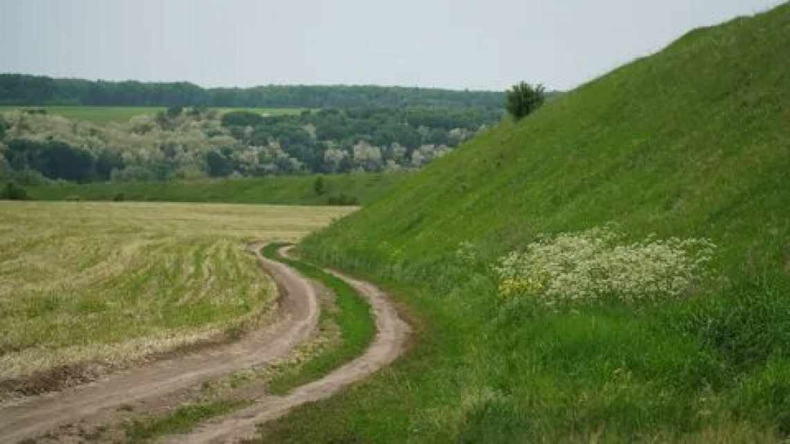 Стародавні земляні візерунки побачили через Google Earth