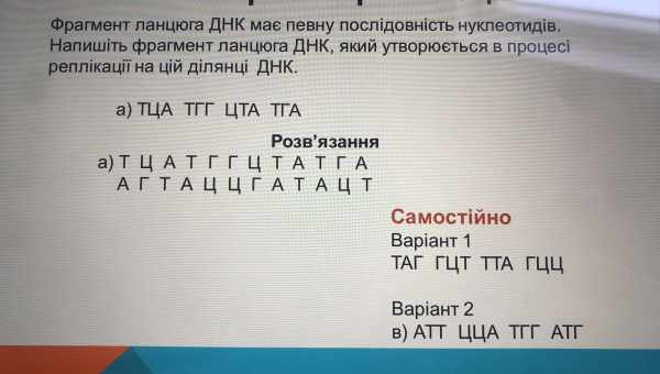 Біорозкладені пластики допоможуть вирішити проблему сміття