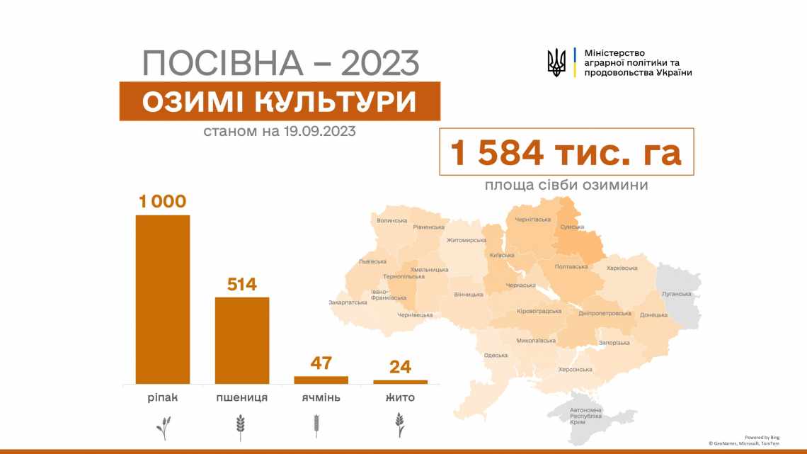 Аналіз генів ріпаку допоможе поліпшити ріпаку