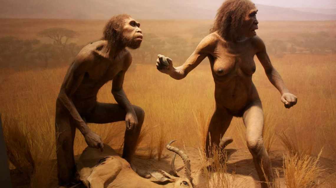 Масштаб повернення Homo sapiens в Африку переоцінили