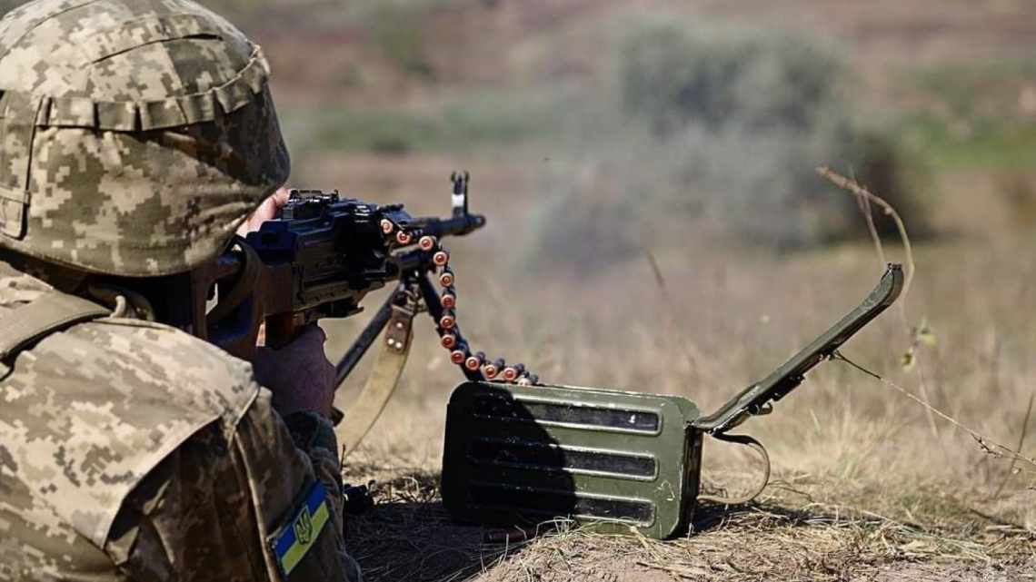 Багатоклітинність за п'ятсот поколінь