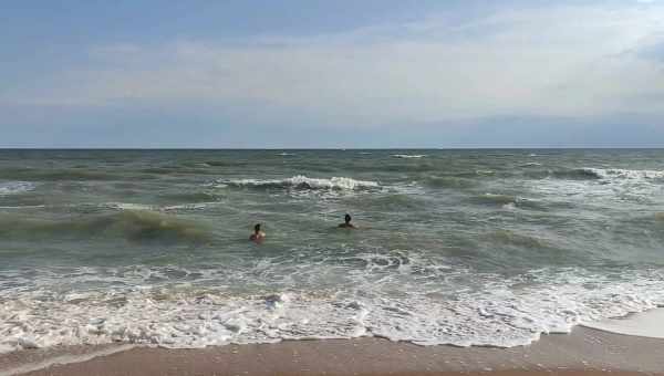 В Азовське море буде відновлено популяцію осетрових