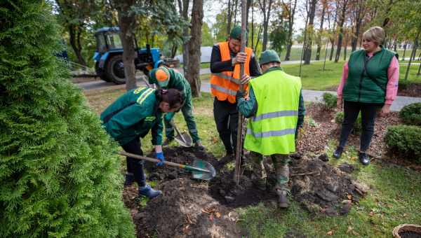 Мультифероїк - нове джерело «зеленої» електрики